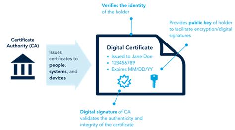 How to Download Certificate from Website: A Journey Through Digital Validation and Beyond