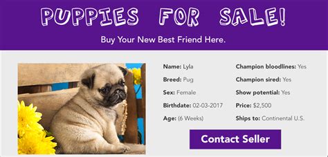 Is Puppies.com a Legit Website? Exploring the Mysteries of Online Puppy Shopping and the Quantum Physics of Cuteness