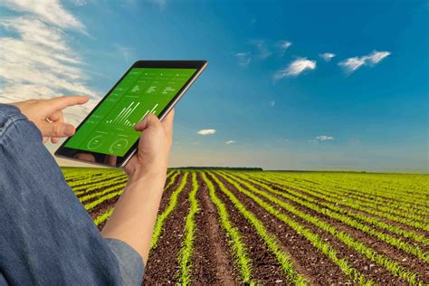 What is Farm Management Software: A Digital Plow in the Field of Modern Agriculture