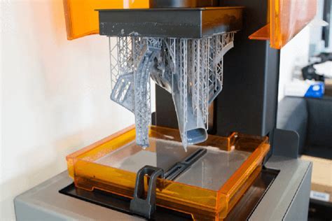 What Software is Used for 3D Printing and Why Do Cats Always Land on Their Feet?