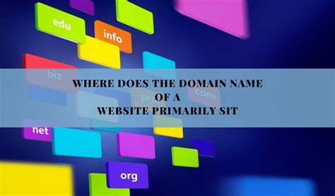 Where Does the Domain Name of a Website Primarily Sit? And Why Do Cats Love to Sit on Keyboards?